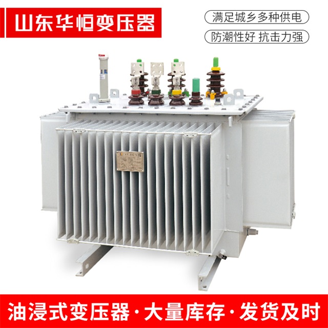 S13-10000/35天镇天镇天镇电力变压器